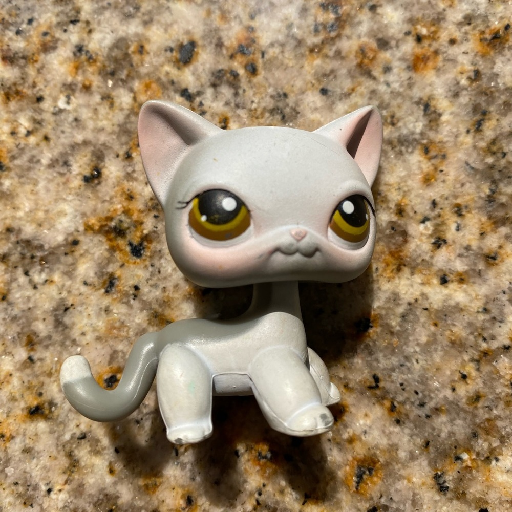 LPS #138